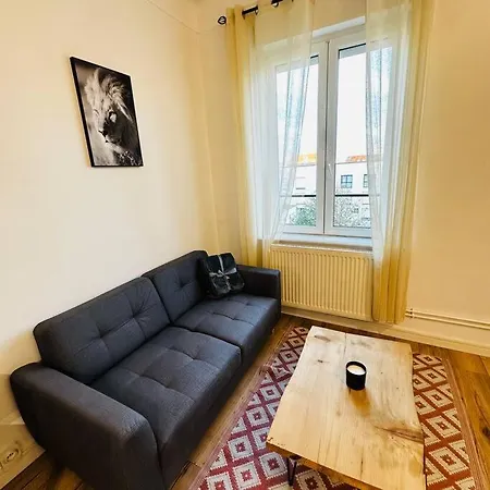 Apartment Nancy-place, A2d Petit Appartement, Thermal, Artem *